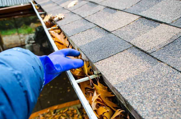 Gutter Cleaning